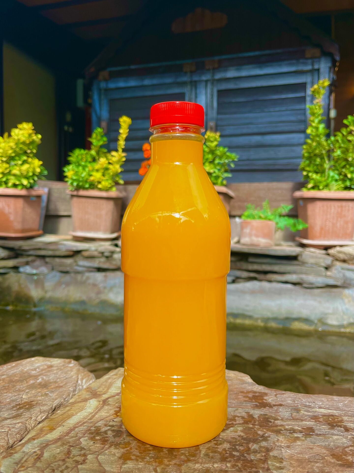 Portakal Suyu (500cc)